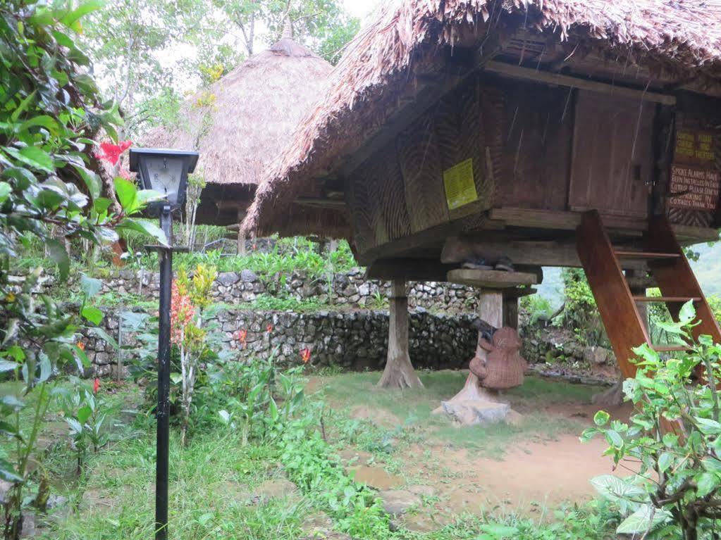 Native Village Inn Banaue Exteriör bild